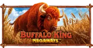 ภาพเกม Buffalo King Megaways ที่ 88jrich88 รวบรวมไว้